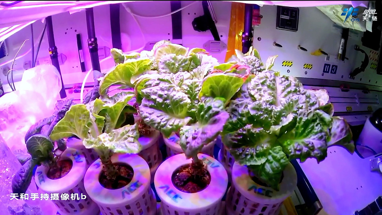 life onboard Tiangong