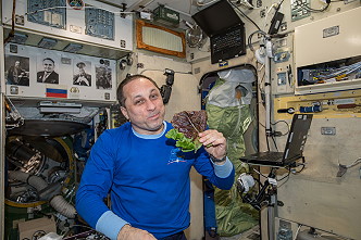 Shkaplerov onboard ISS