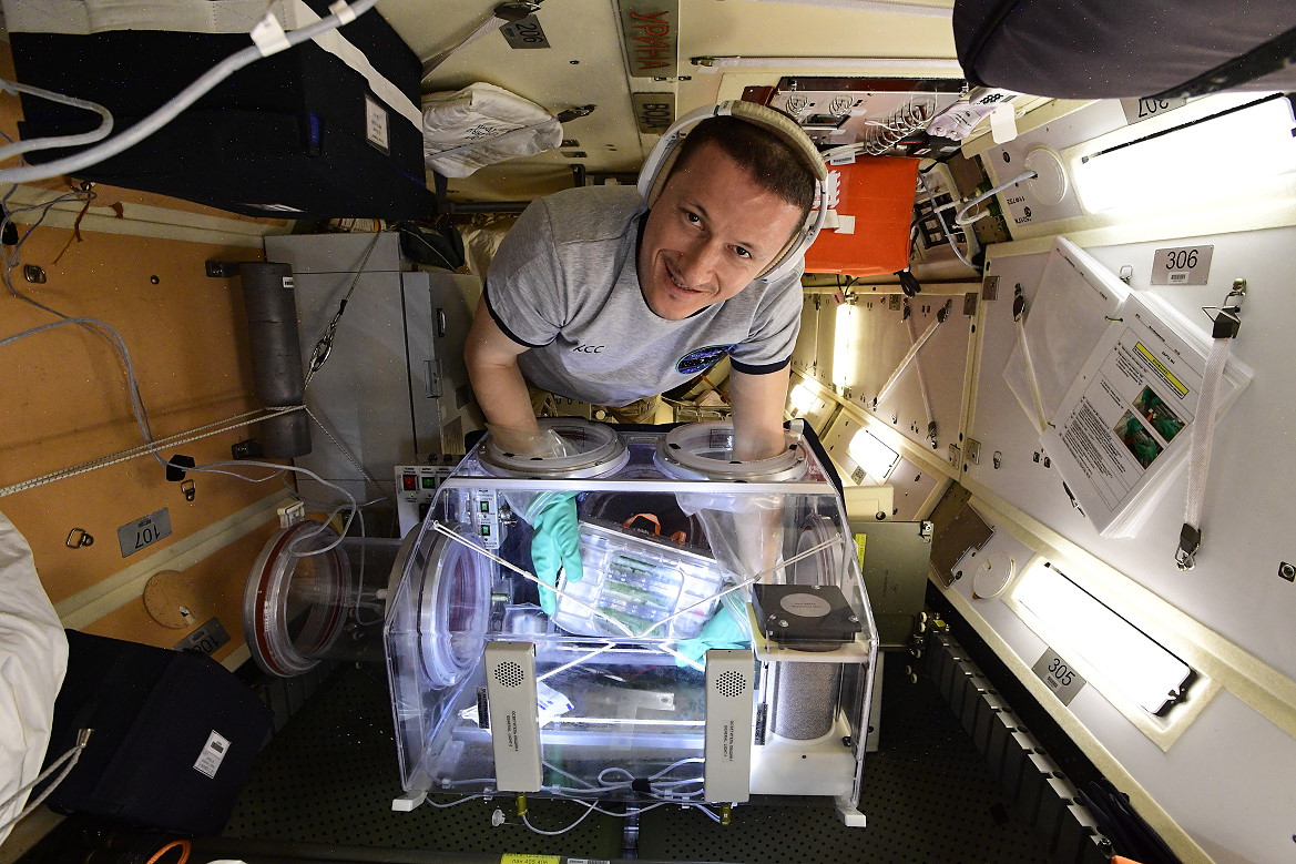 life onboard ISS