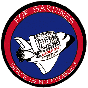 alternate NASA astronaut group 16 patch
