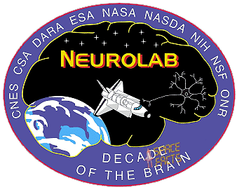Patch Neurolab