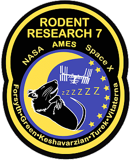 Logo Rodent Research VII