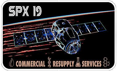 Patch Dragon SpX-19 (NASA)