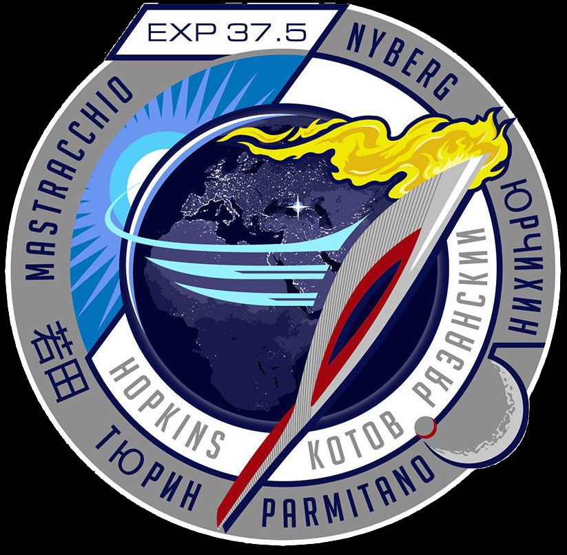 inoffizielles Patch: ISS Expedition 37