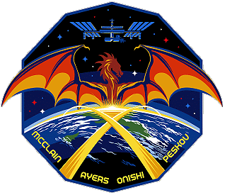 Patch SpaceX Crew-10