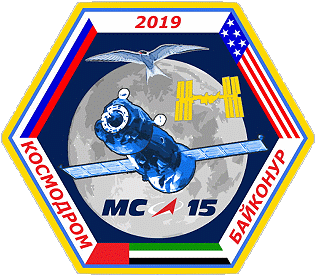 Patch Soyuz MS-15 backup crew
