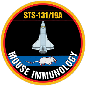 STS-131 Mouse Patch