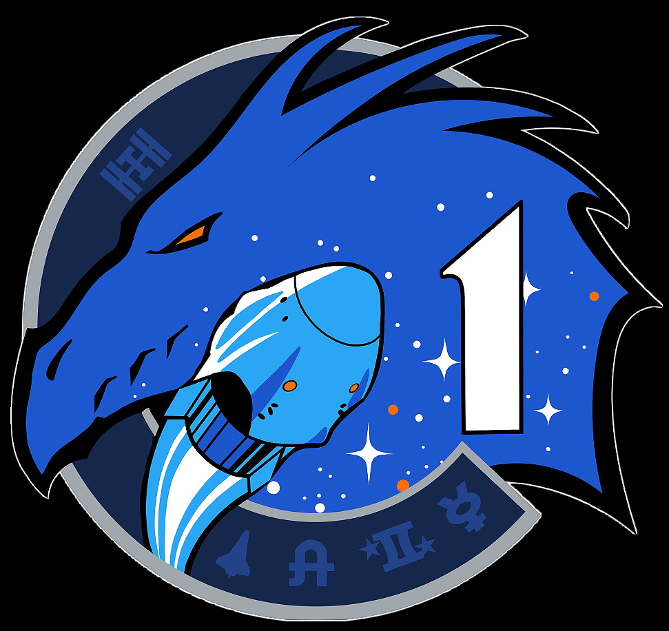 Patch SpaceX Crew-1