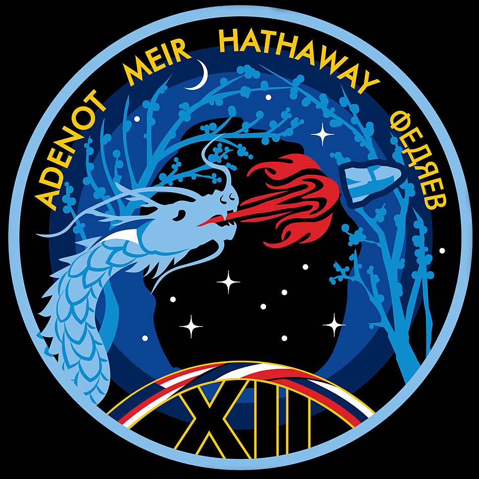 Patch SpaceX Crew-12