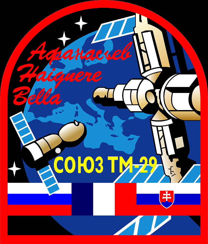 Patch Soyuz TM-29